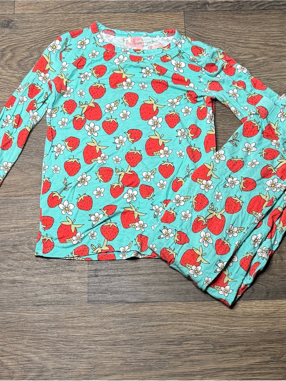 Posh Peanut Aqua and Red Strawberry Pajama Set